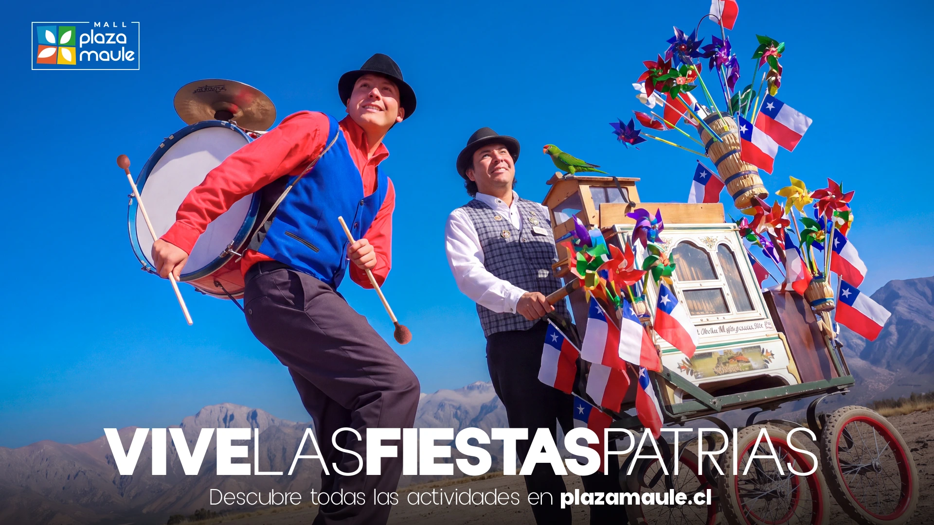VIve Plaza Maule — imagen 10