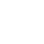 Dreams Dreams